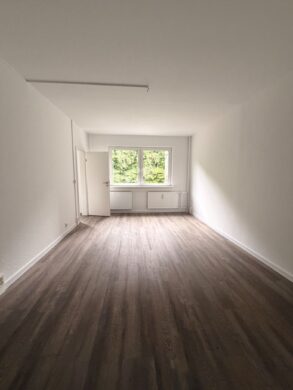 Ruhiges 1-Zimmer-Apartment mit 31 m² und Teleheizung in Schwerin, 19063 Schwerin, Wohnung